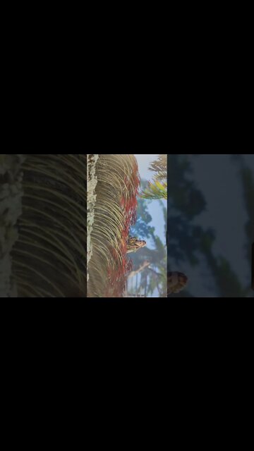 Horizon Forbidden west