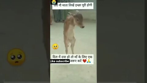 #drivingfails #shorts