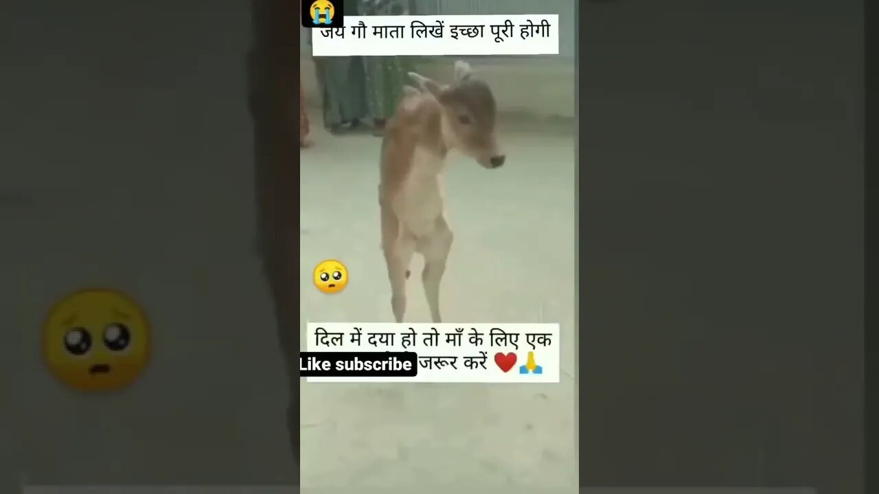 #drivingfails #shorts