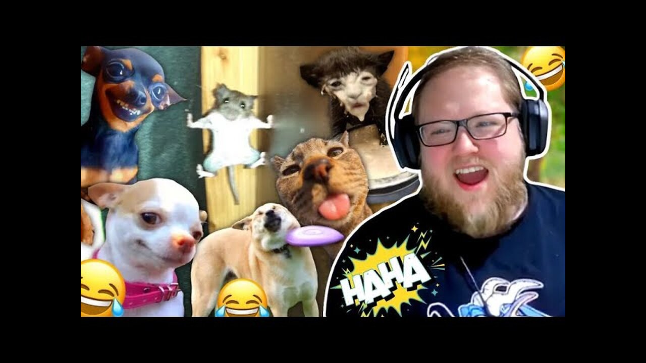 Cat funny moments 😂 and reaction 🤣