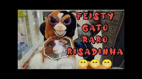 HOJE VEIO UM FEISTY PETS GATO RISADINHA👏👏👏