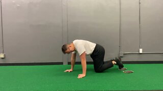 Active elbow plank w/ slider at feet