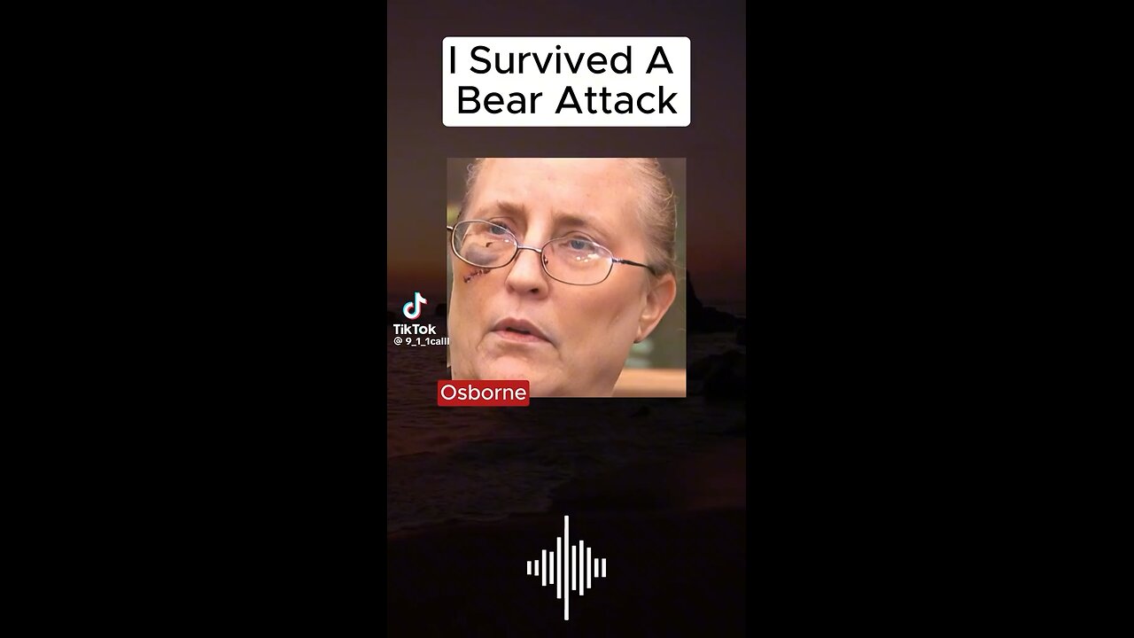 I survived a bear attack