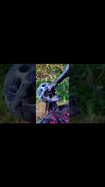 Halloween fountain idea for your garden 🎃 #shorts #halloween #halloweendecor