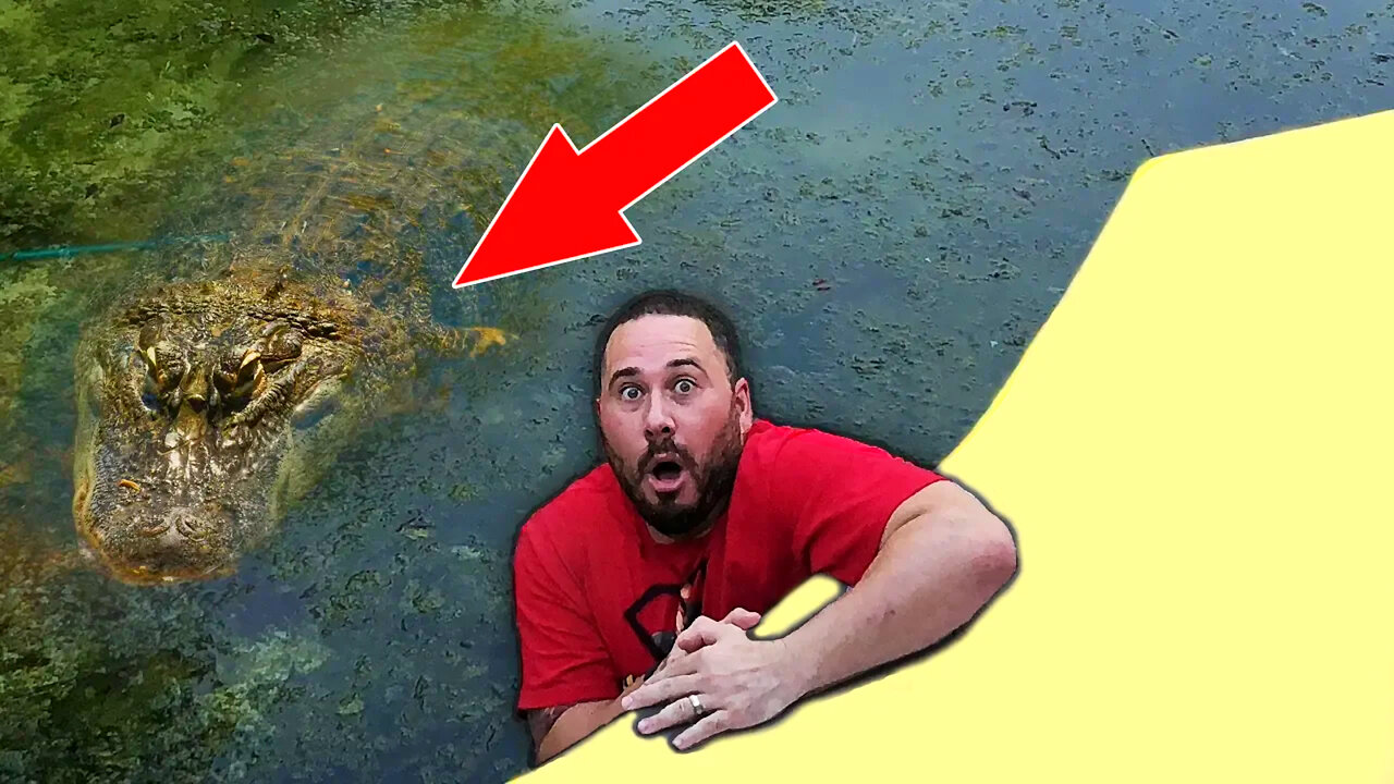 Real Life Monster Living In My Pool | OmarGoshTv