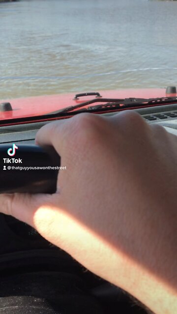 Forbidden fruit for TikTok￼