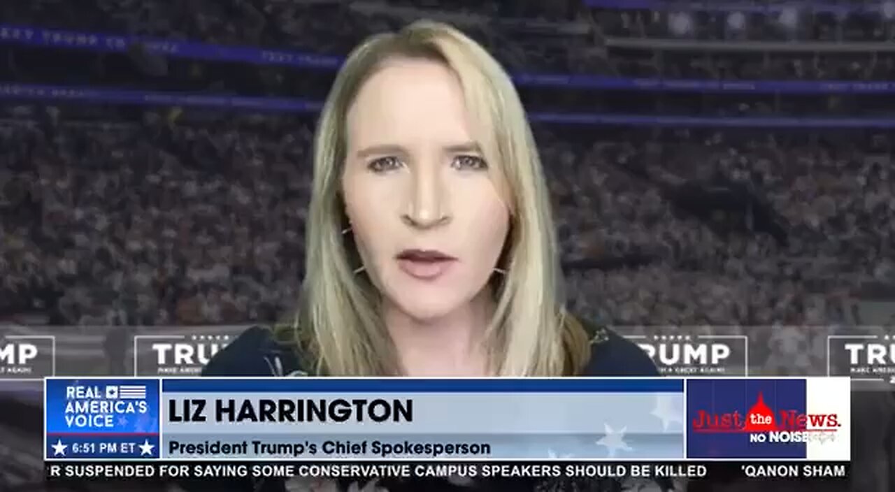 EXCELLENT SLAM BY LIZ HARRINGTON ON DEEP STATE DOUCHEBAGS