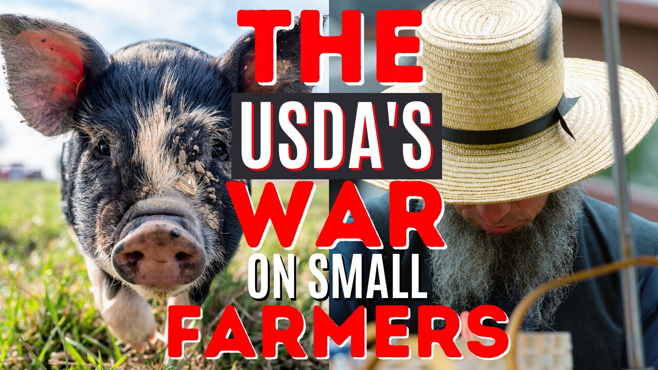 The USDA'S WAR On Small FARMERS! • Amish Farmer Update!