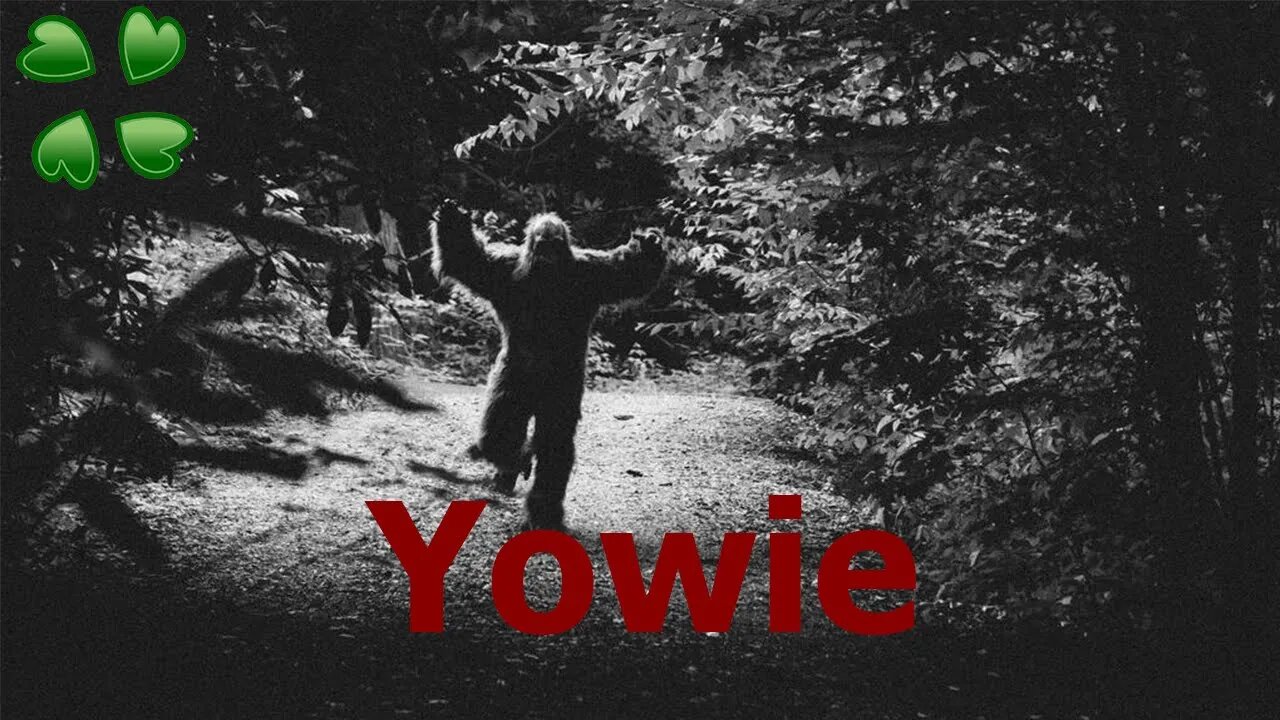 Yowie