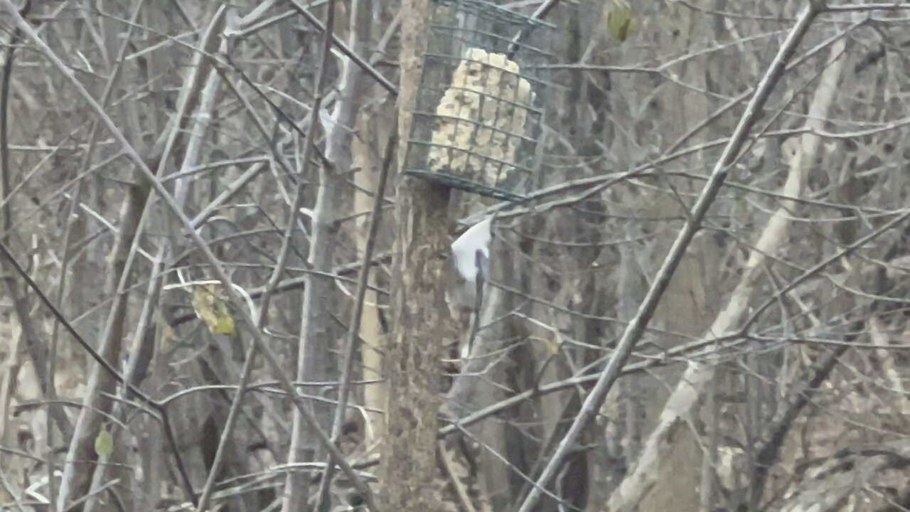 James Gardens Toronto Happiness