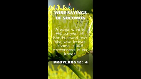 Proverbs 12:4 | Wise Sayings of Solomon