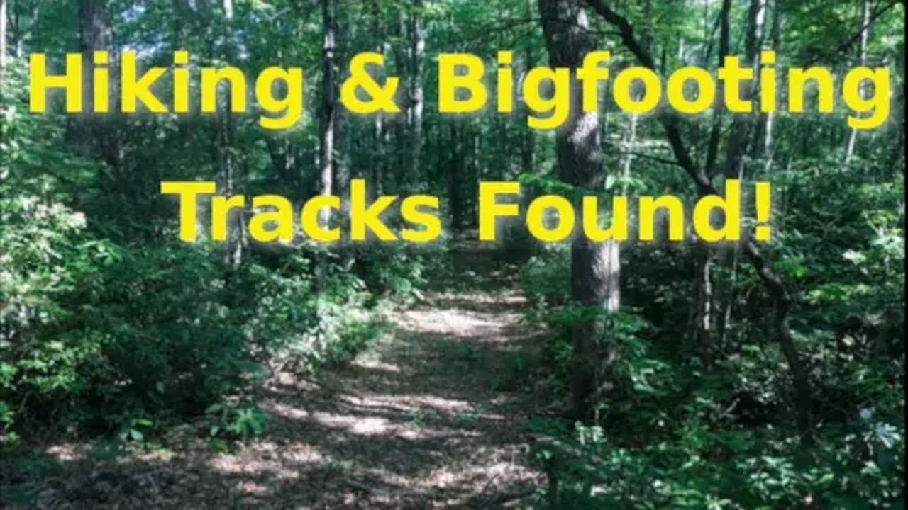 Hiking & Bigfooting | Tracks Found!