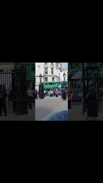 Make room for the Queen's life Guard #horseguardsparade