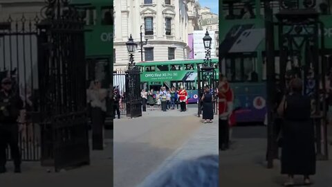 Make room for the Queen's life Guard #horseguardsparade