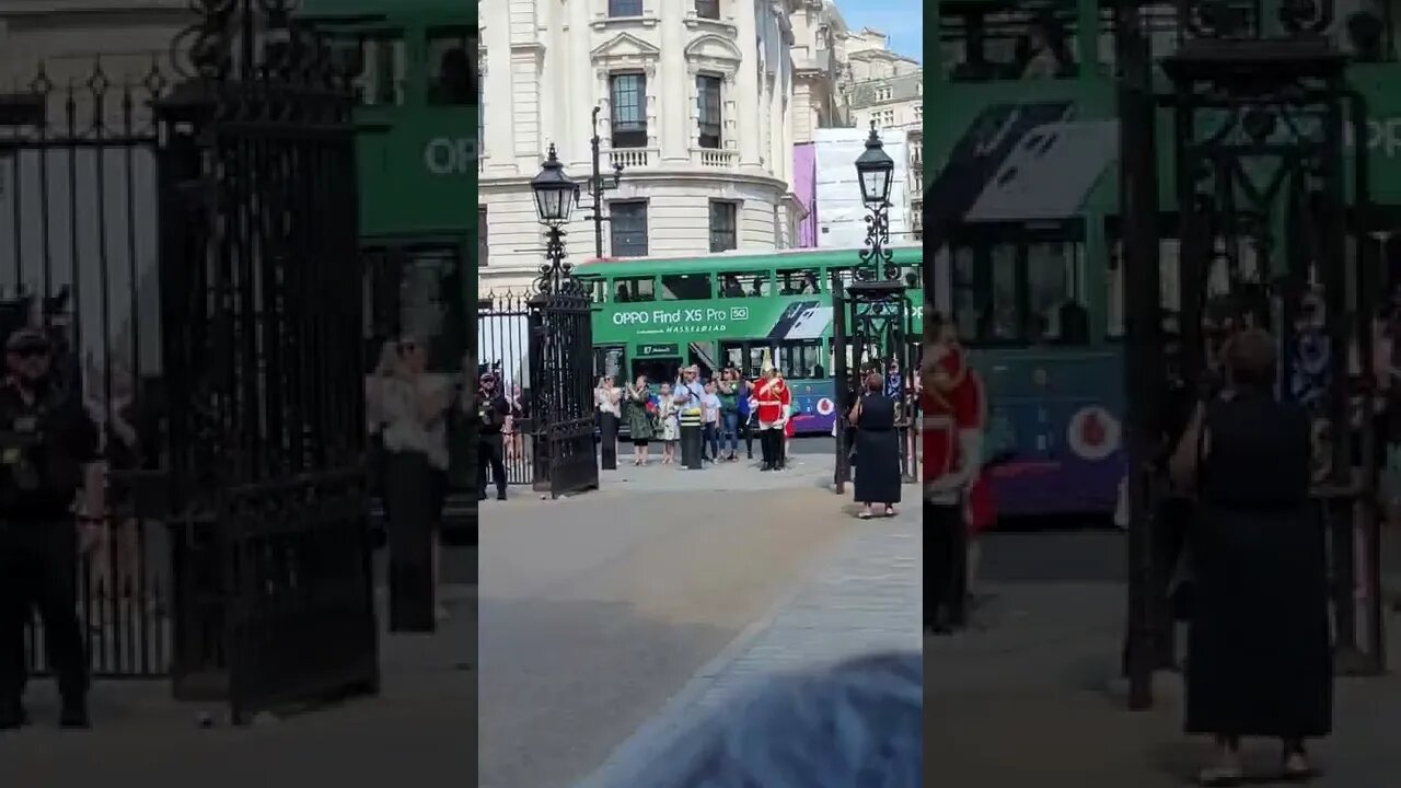 Make room for the Queen's life Guard #horseguardsparade
