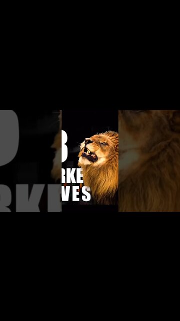 How To Make A 30x Trade? #options #tradingoptions #stockmarket #optionstrading #stock #optionstrade