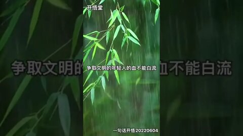 一句话开悟20220604