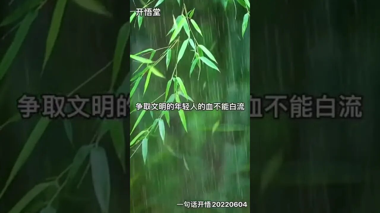 一句话开悟20220604