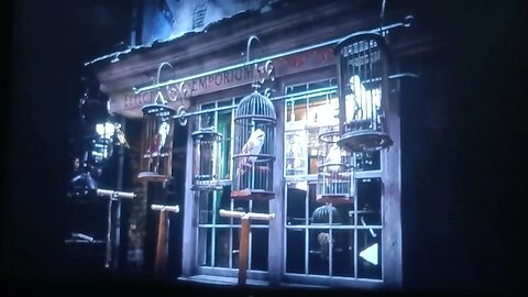 Harry Potter and the Philosopher's Stone Disc 2 Diagon Alley (Eeylops Owl Emporium, The Tarny owl)