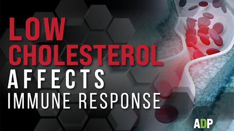 Low Cholesterol Affects Immune Response