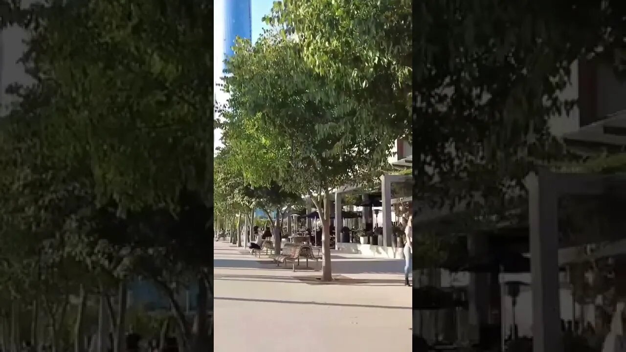Afternoon Stroll in Sydney