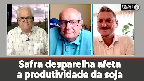 Safra desparelha afeta a produtividade da soja - comenta Alexandre Gazzola e Vlamir Brandalizze