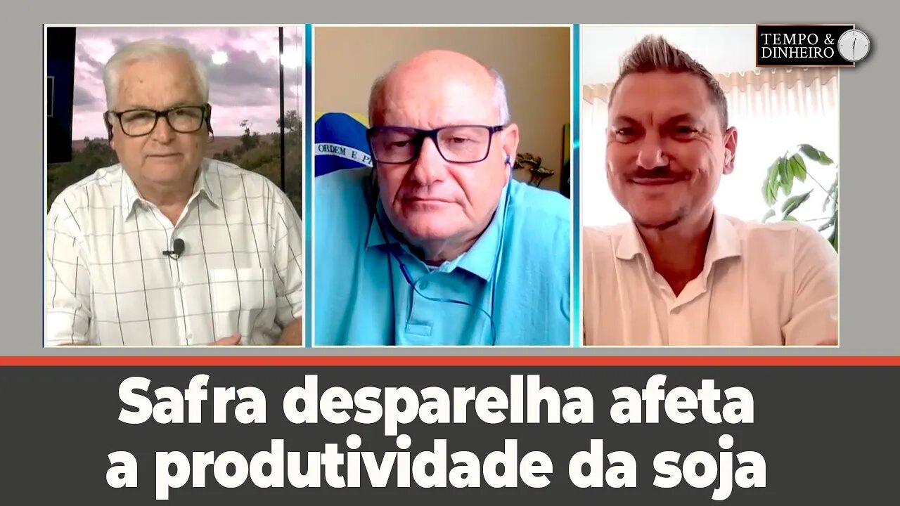 Safra desparelha afeta a produtividade da soja - comenta Alexandre Gazzola e Vlamir Brandalizze