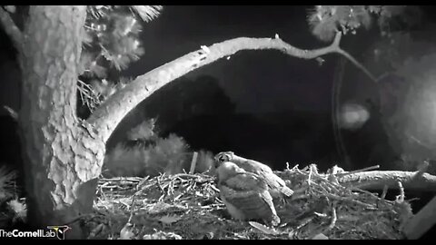 Sharing Dinner With Mom 🦉 4/15/22 20:38