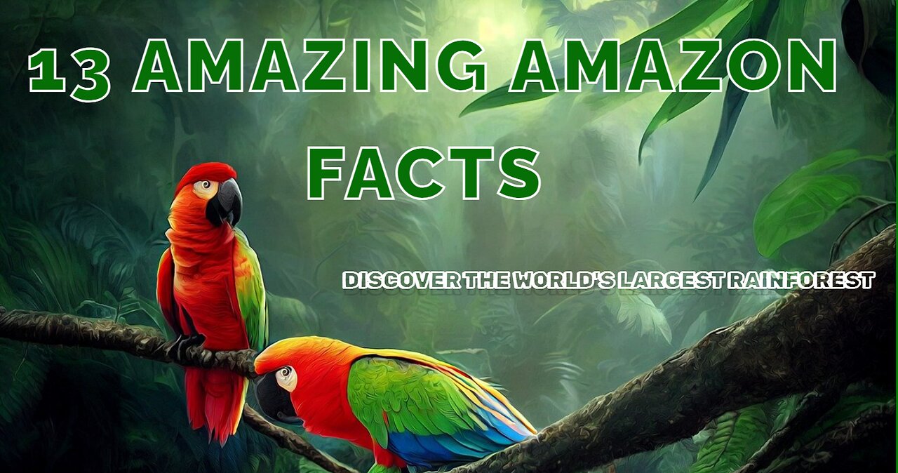 13 Fascinating Facts About the Amazon Rainforest