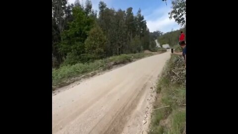 #SHORT #SUBSCRIBE #PLEASE