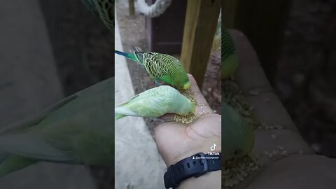 sharing a snack with friends