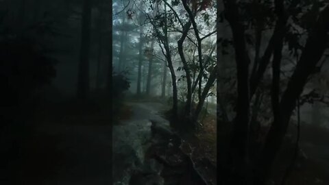 nature#lazyday#forest#shorts
