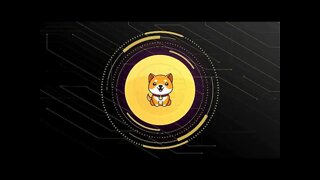 Cripto Hoje - 21/04/22 - BABYDOGE - Céu ou inferno ?