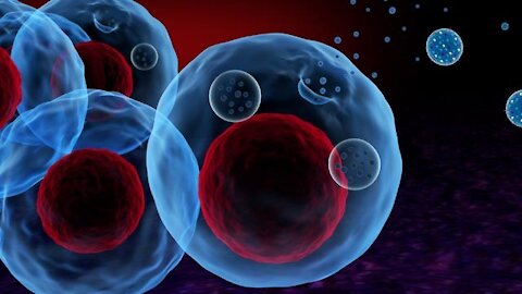 New Evidence that Viruses are Friends, not Enemies - Really!