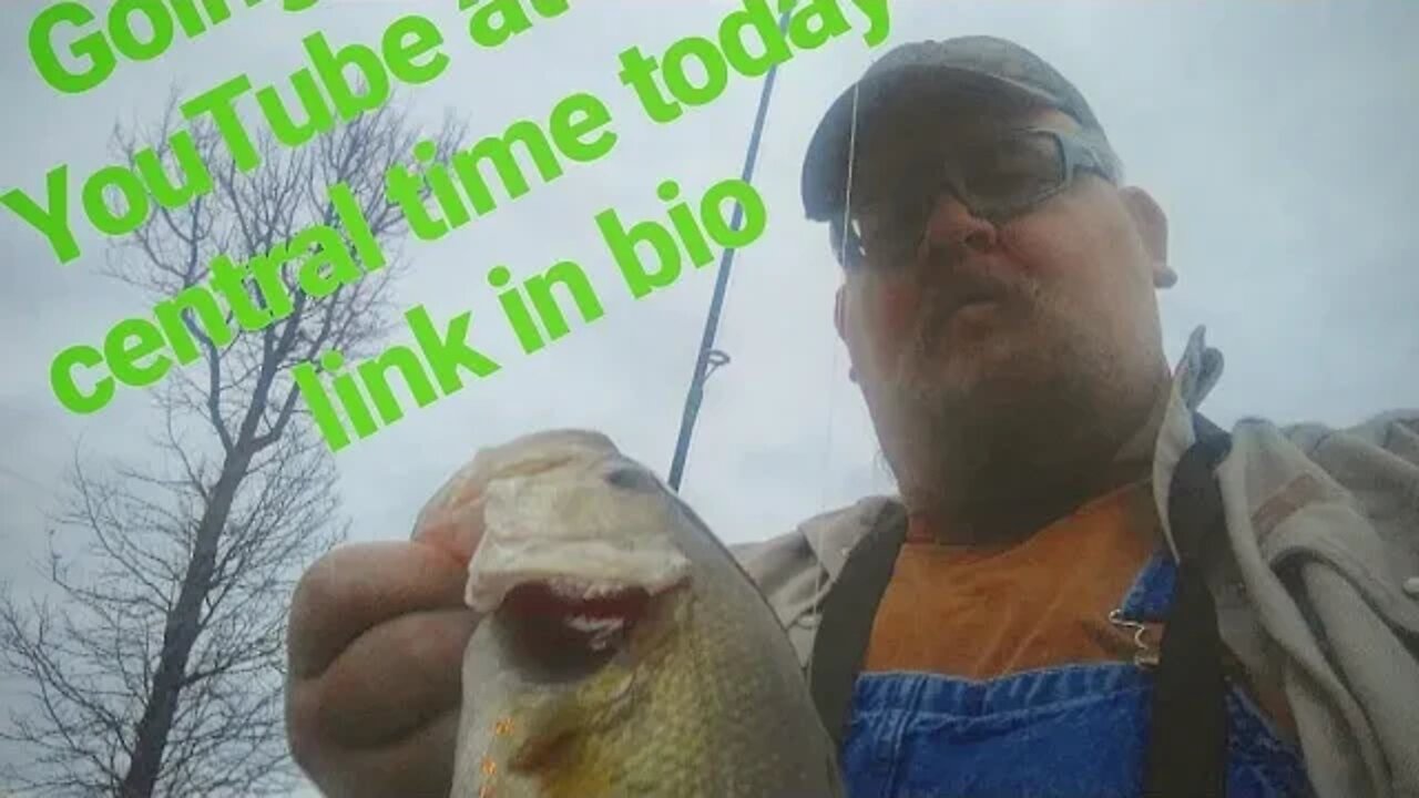 Live Now