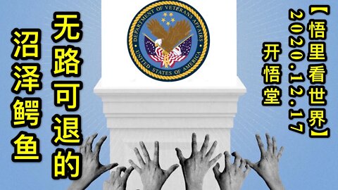 无路可退的沼泽鳄鱼【悟里看世界】KWT542 201217-04 wlktdzzey