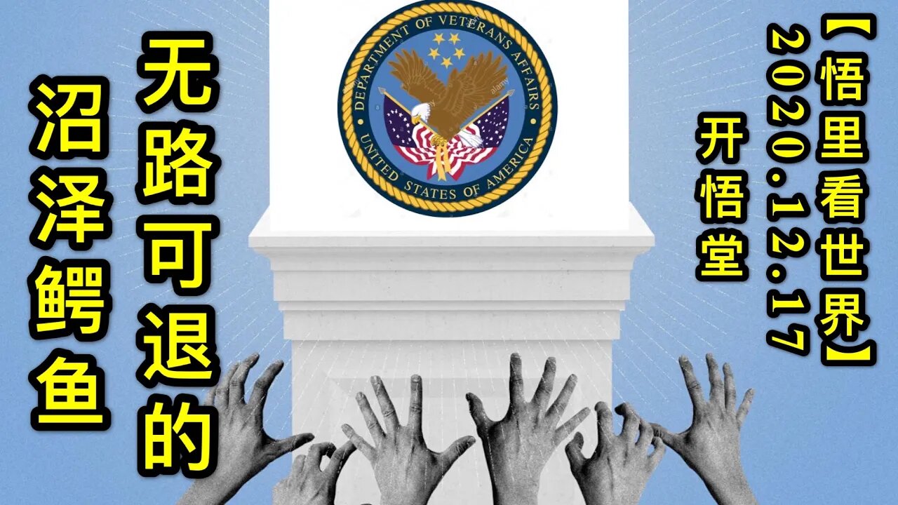 无路可退的沼泽鳄鱼【悟里看世界】KWT542 201217-04 wlktdzzey