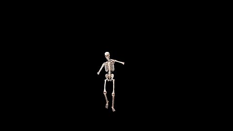 Skeleton dance 🕺