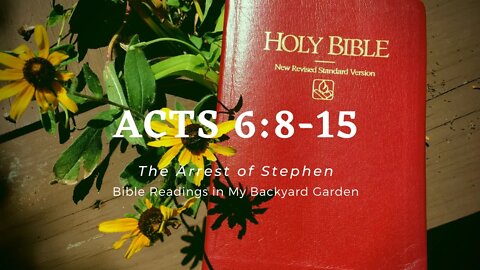 ACTS 6:8-15 (The Arrest of Stephen)