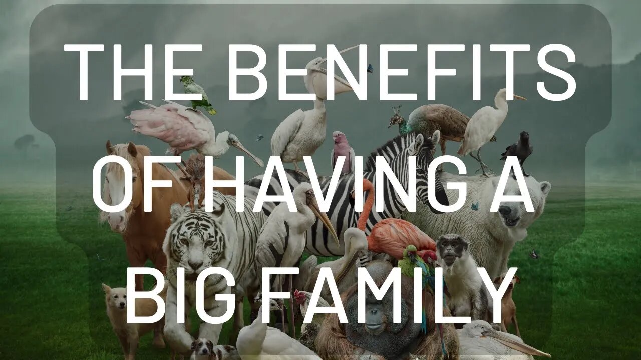 The Benefits of Having a BIG Family (Plus Live QnA)