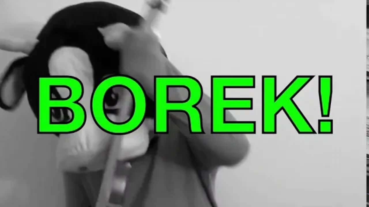 Happy Birthday BOREK! - COW Happy Birthday Song