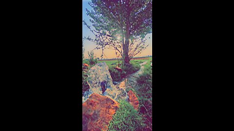 Farmer life❤️