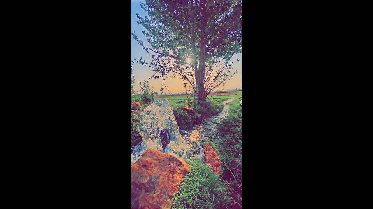 Farmer life❤️