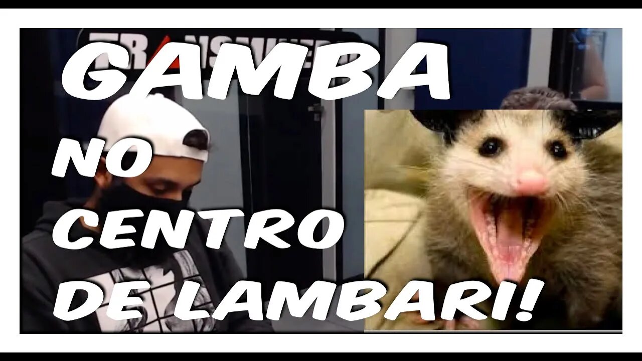 Gamba Centro de Lambari Entrou nas Lojas - #cortesdoprosa