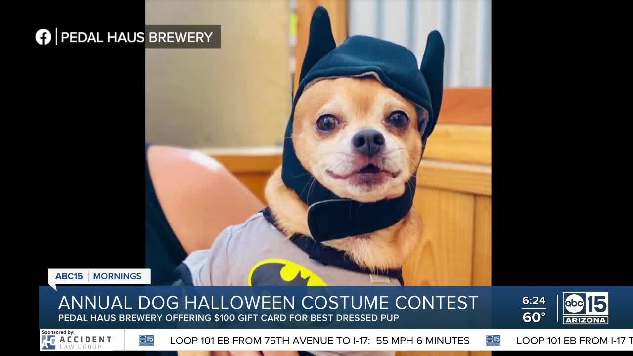 BULLetin Board: Halloween dog costume contest