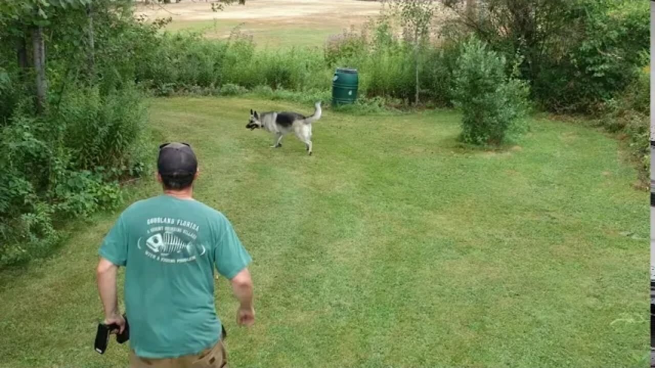 Drone Chasing Dave Chasing a Radio Controlled Car