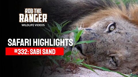 Safari Highlights #332: 11 - 14 March 2015 | Sabi Sand Nature Reserve | Latest Wildlife Sightings