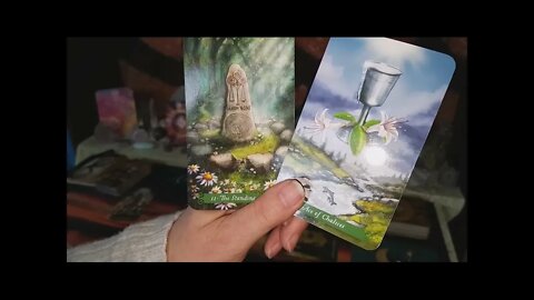 Sagittarius WTF Tarot Reading 25 APR - You just can't help being you! Be you -Integrity is the key!