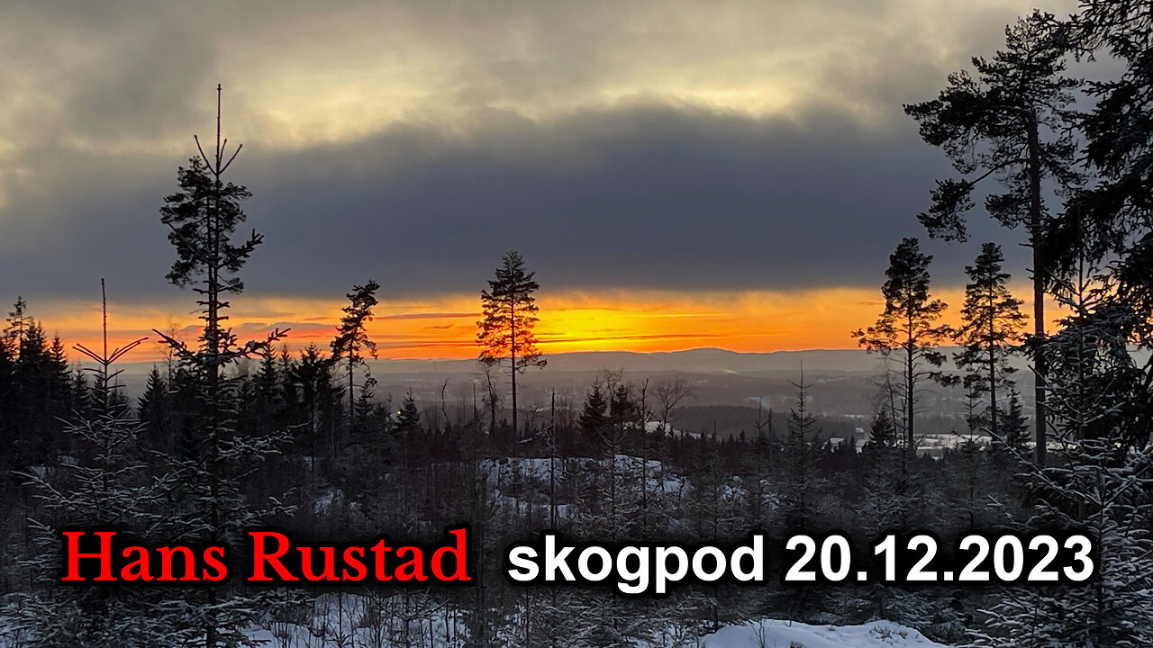 Skogpod 20. desember 2023