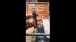 Macanudo Emissary Espana 6x52 Torpedo #Shorts #CigarOfTheDay #Short #CigarReviews #Cigars #Cigar